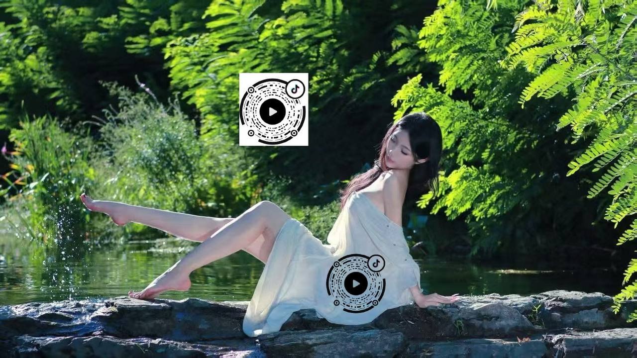 沧龙014