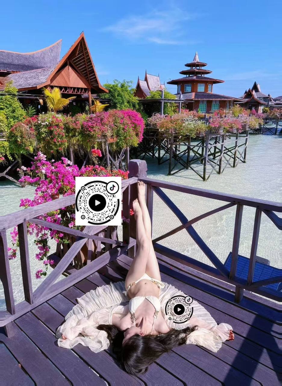 沧龙014