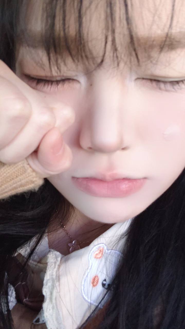 伴友 B2
