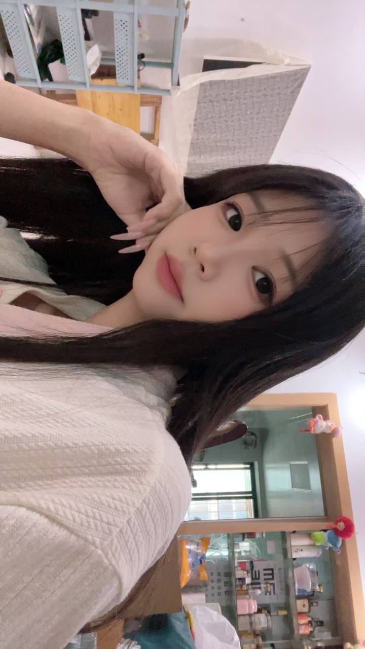 伴友 B17