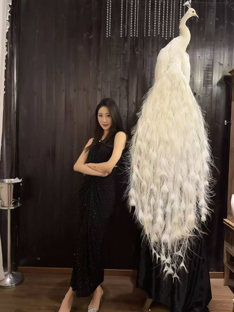 zero w少小美