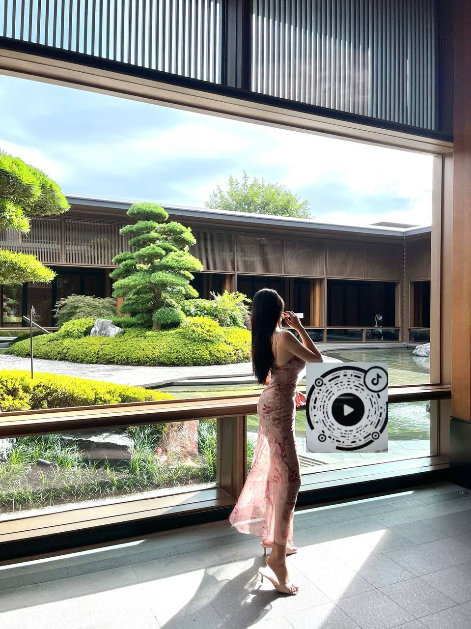 崽崽