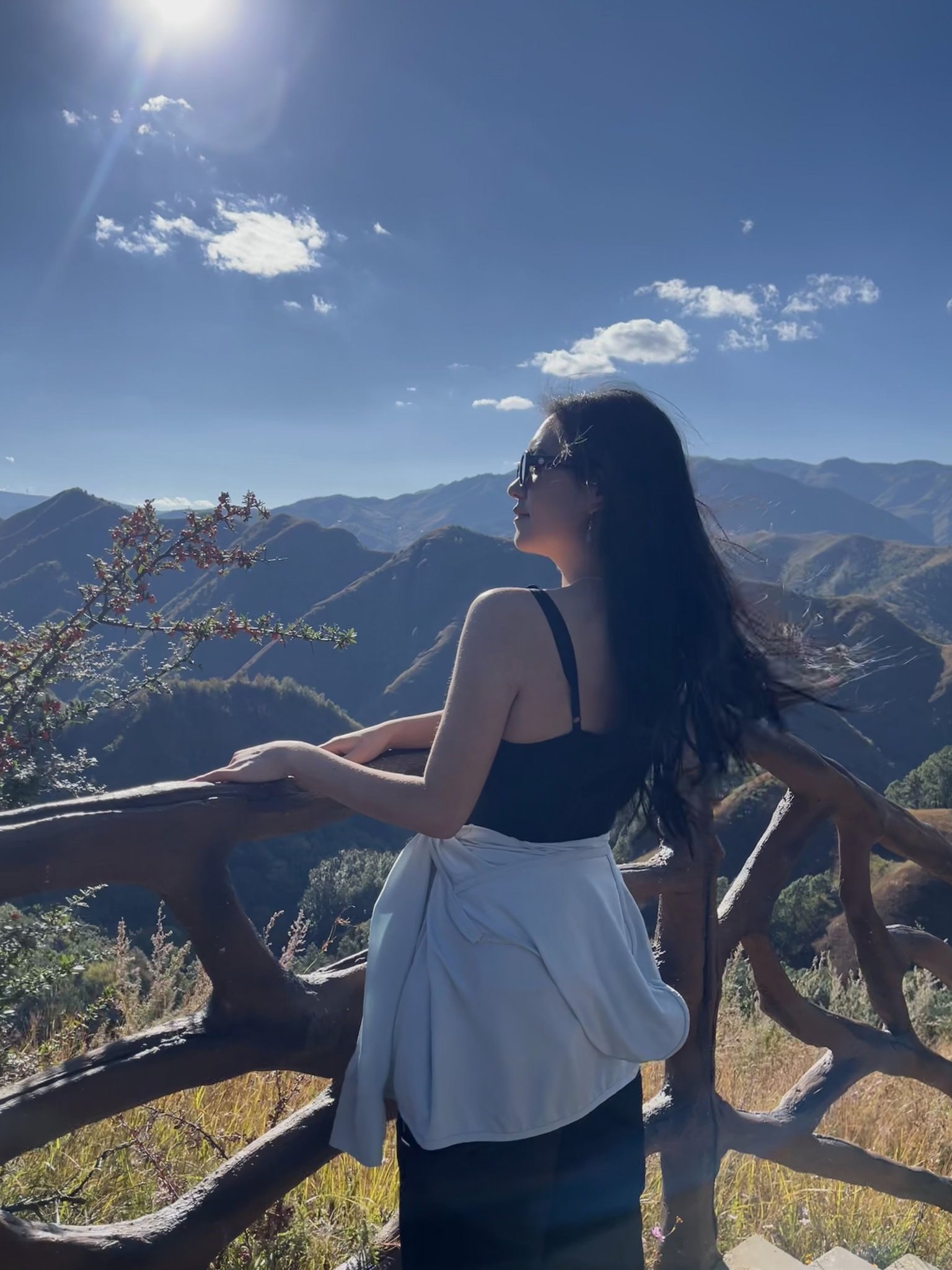 李逍遥2037
