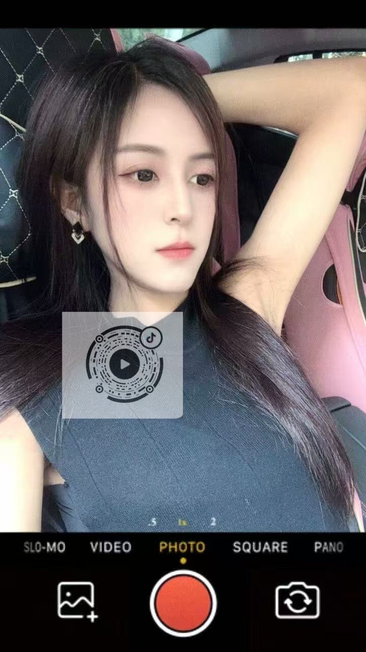 杨杨