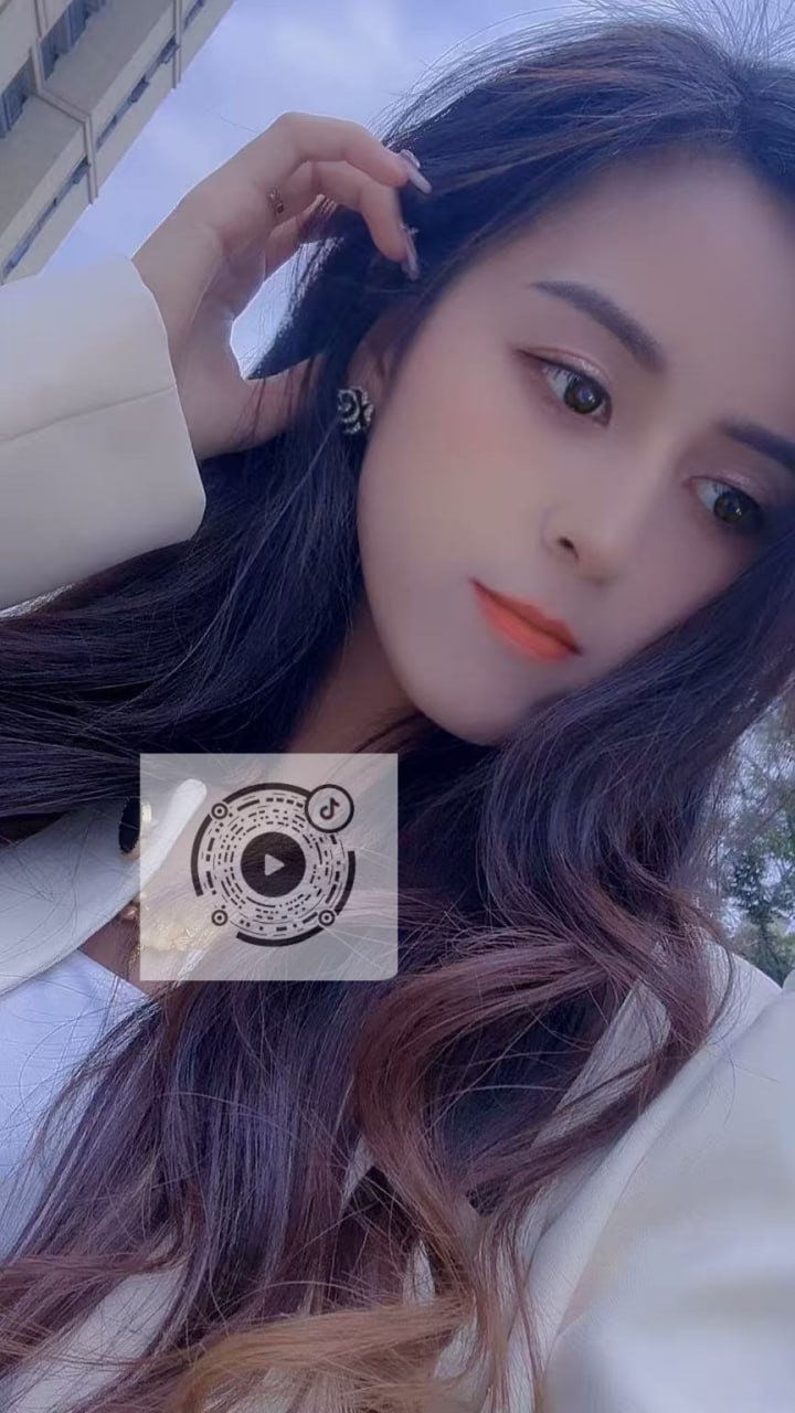 杨杨