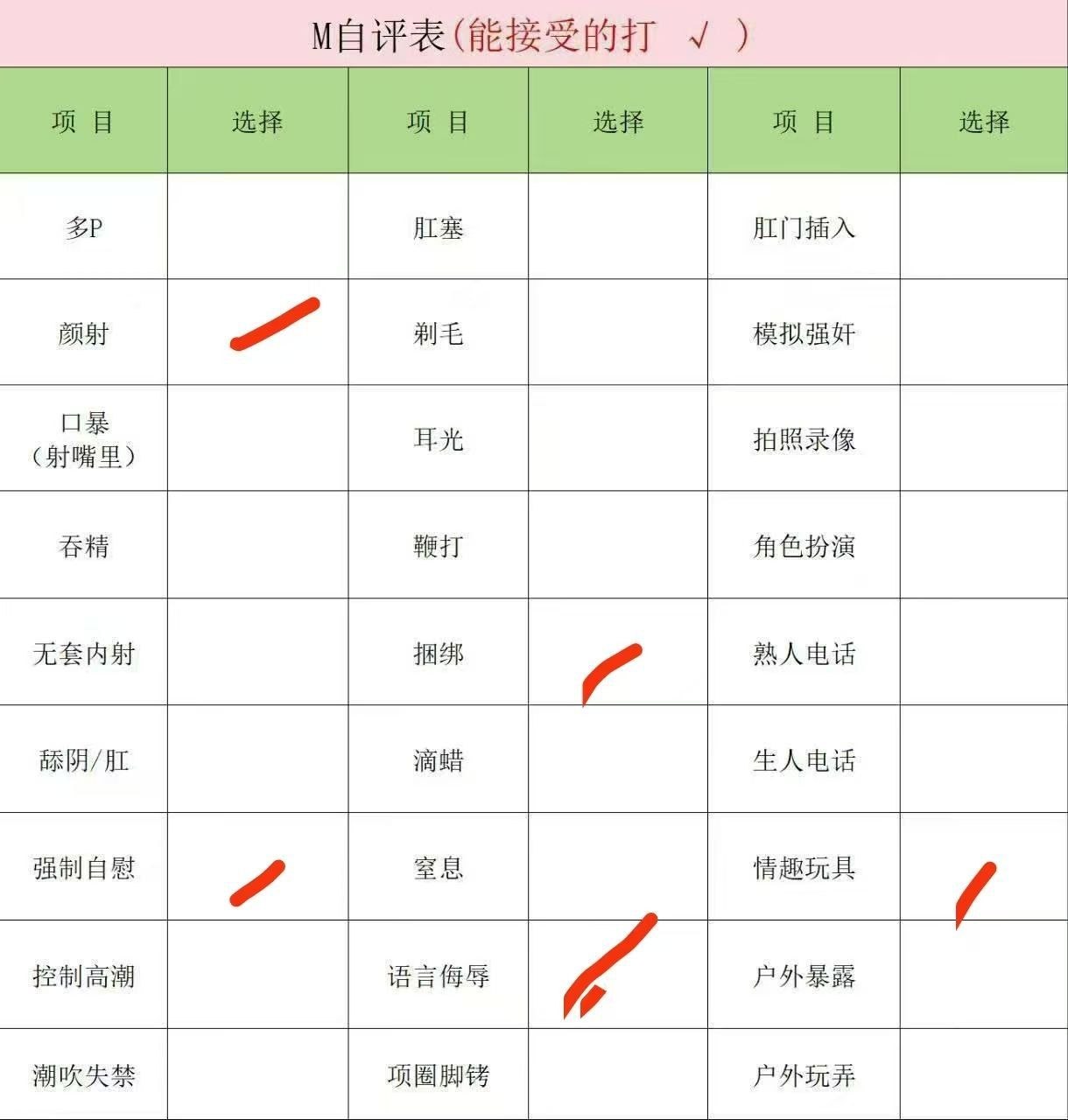 豆豆N