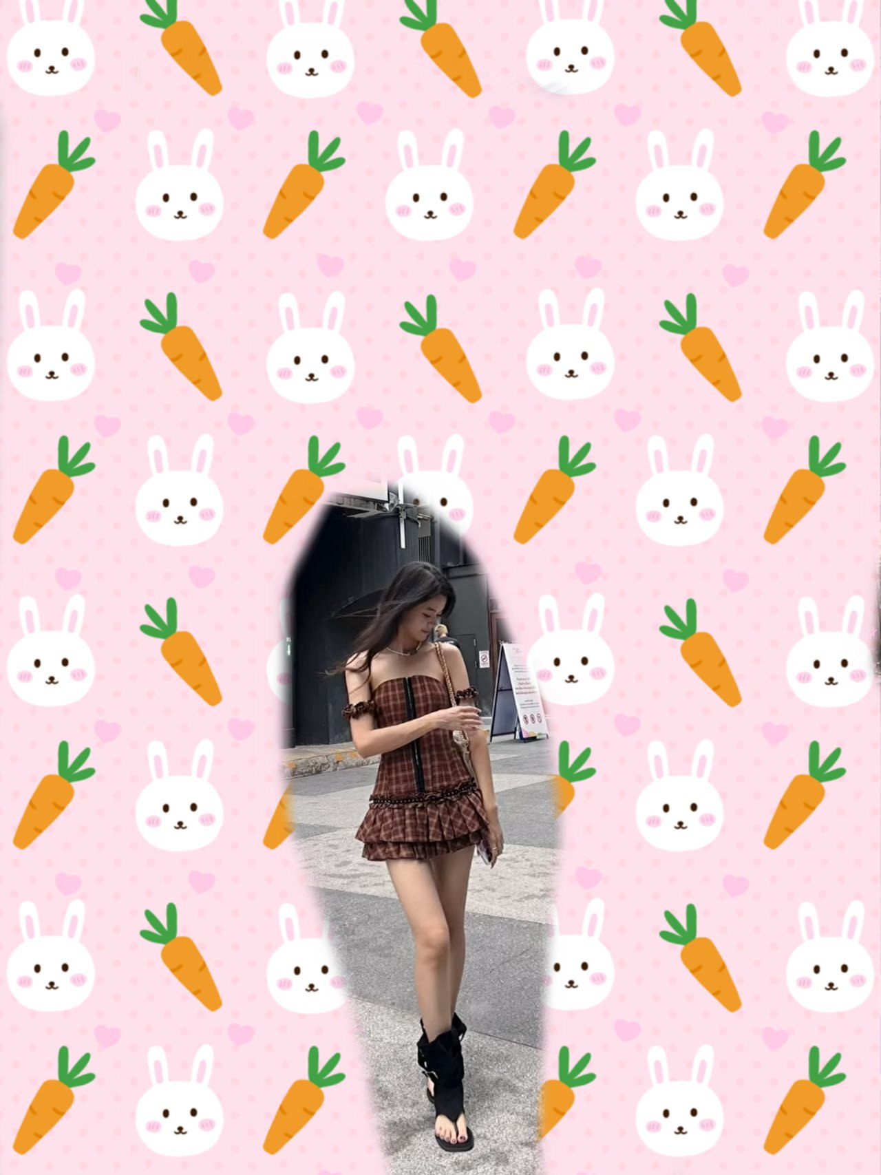 淼淼