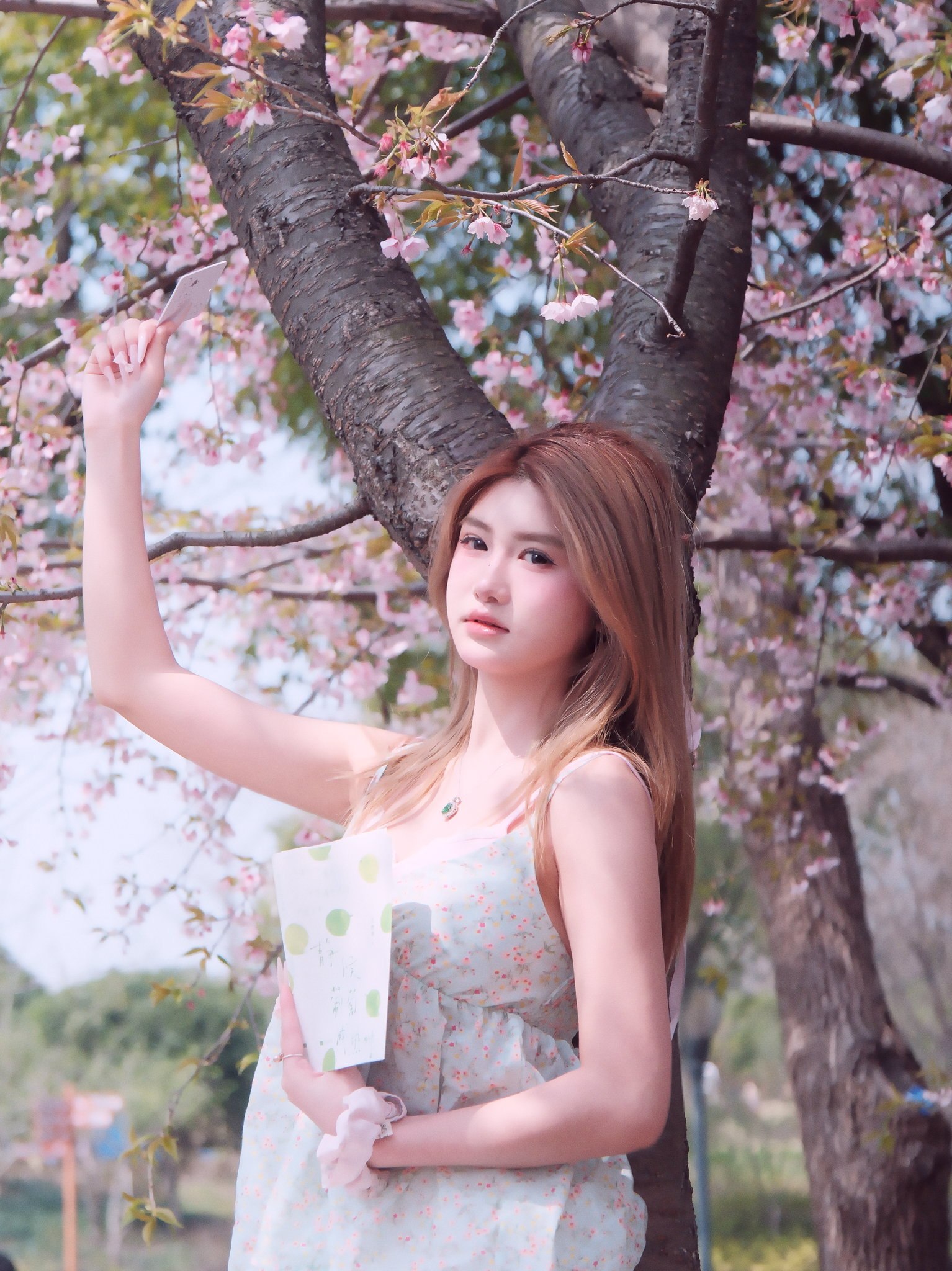 李逍遥九3009