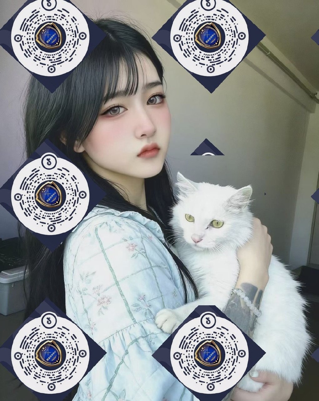 朴朴村长238