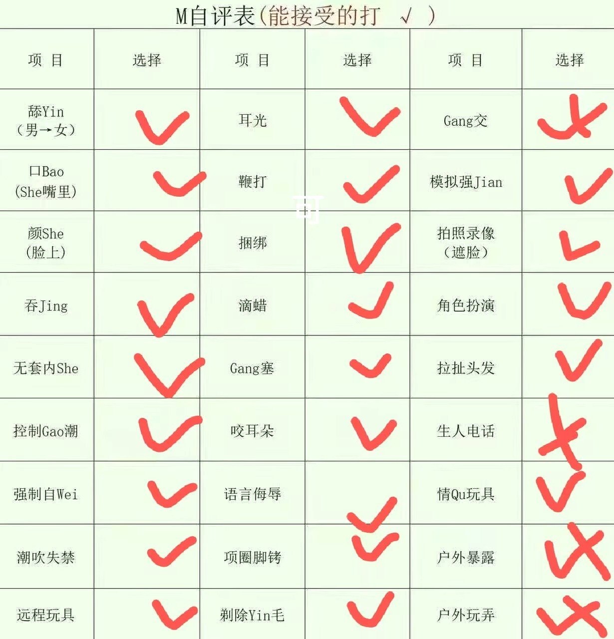 朴朴TC022