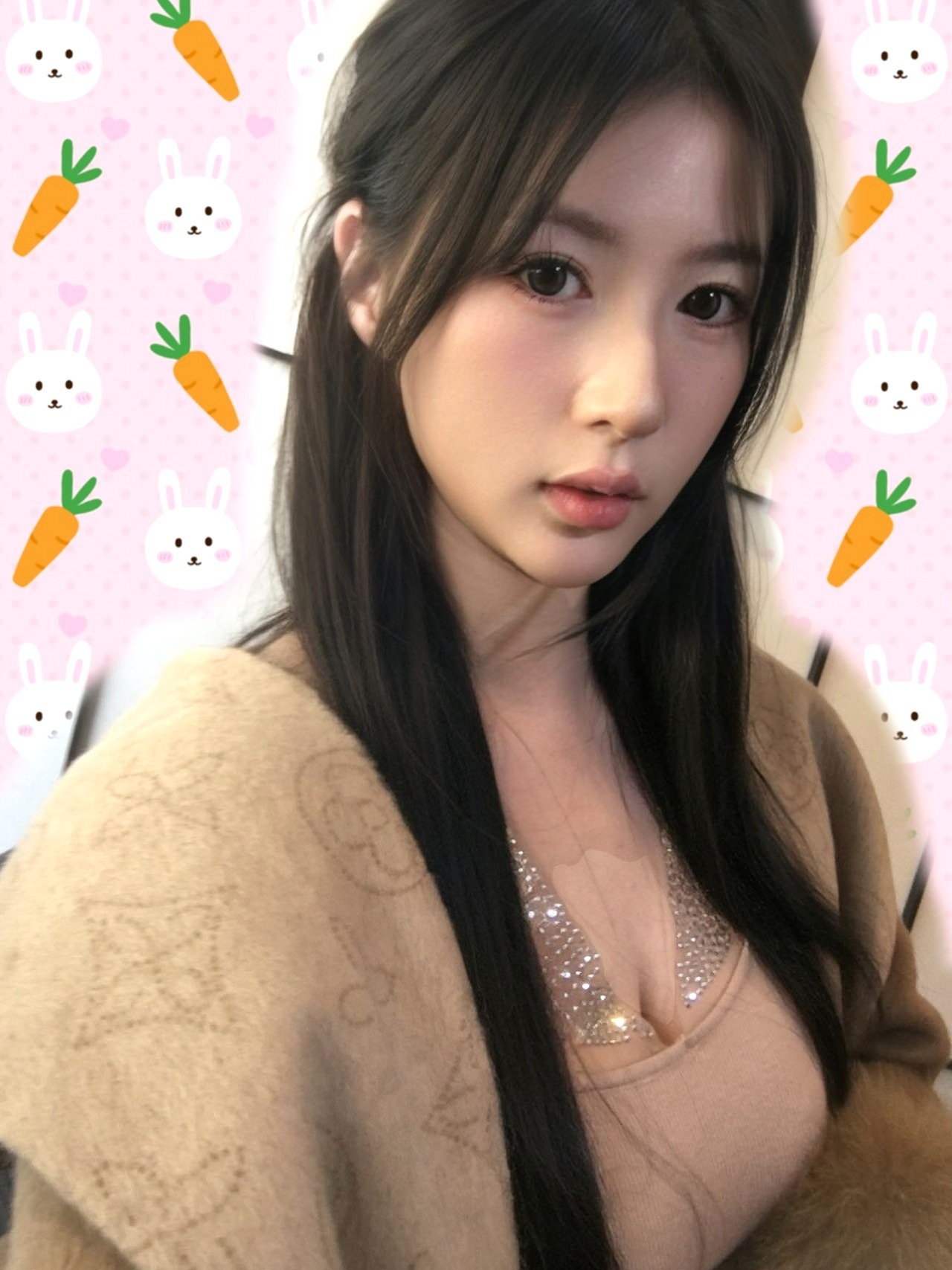 崽崽