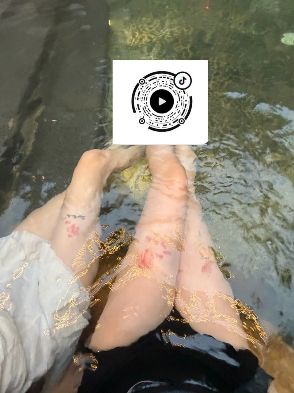 十一
