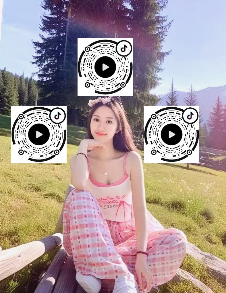 朴朴芙蓉B3001