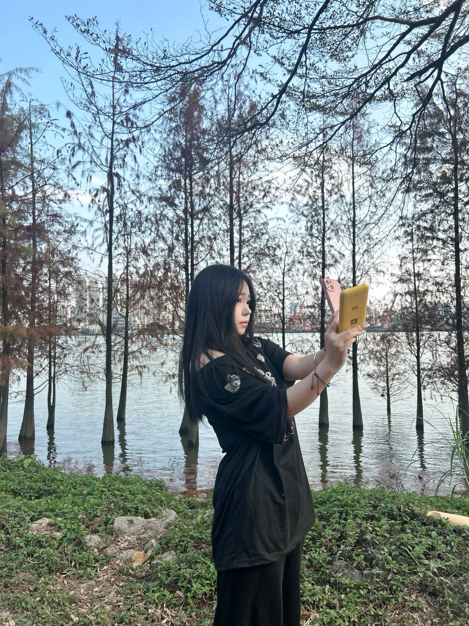 七七yue
