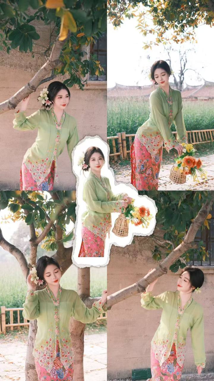 菜菜