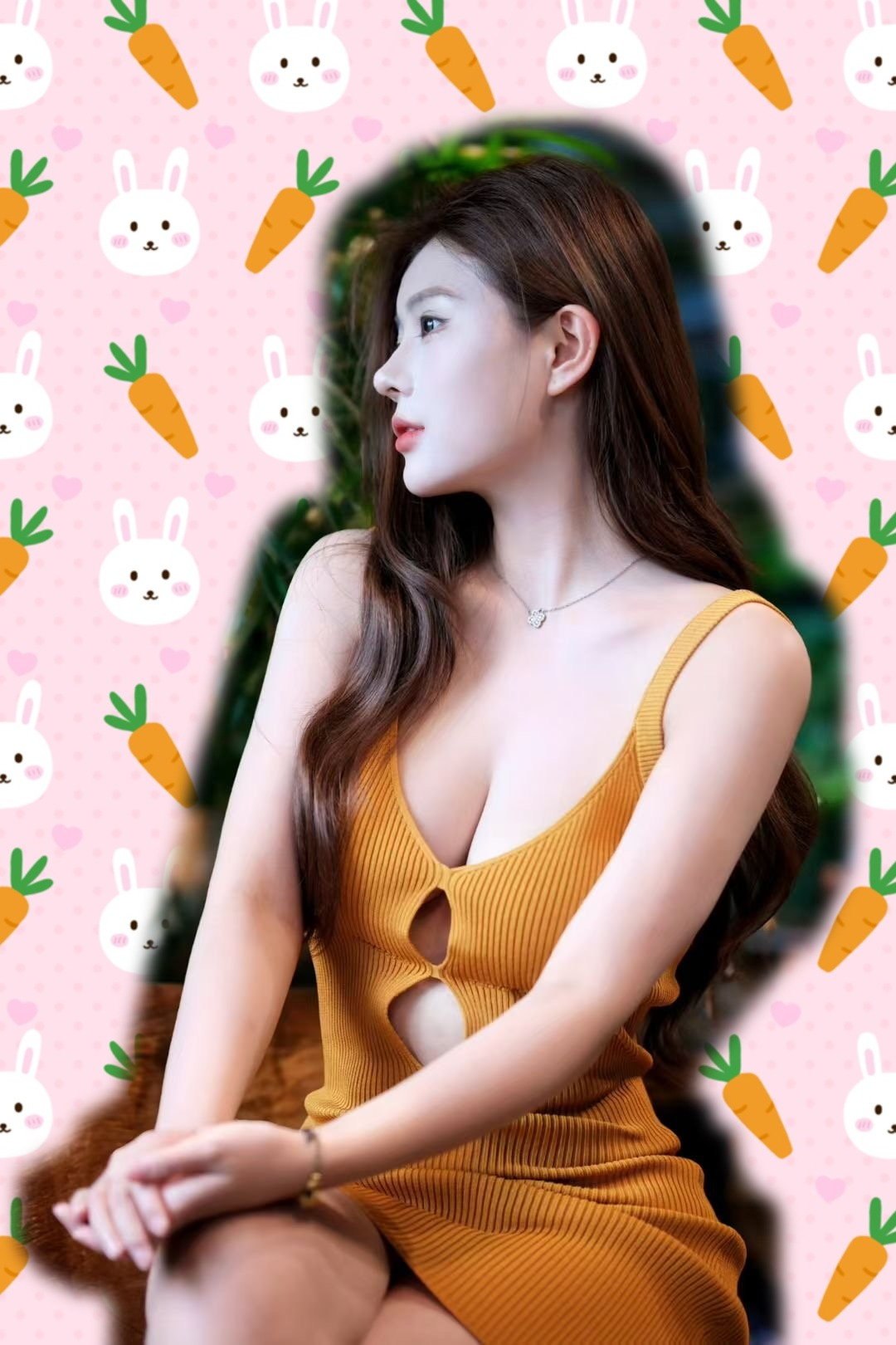 佳佳