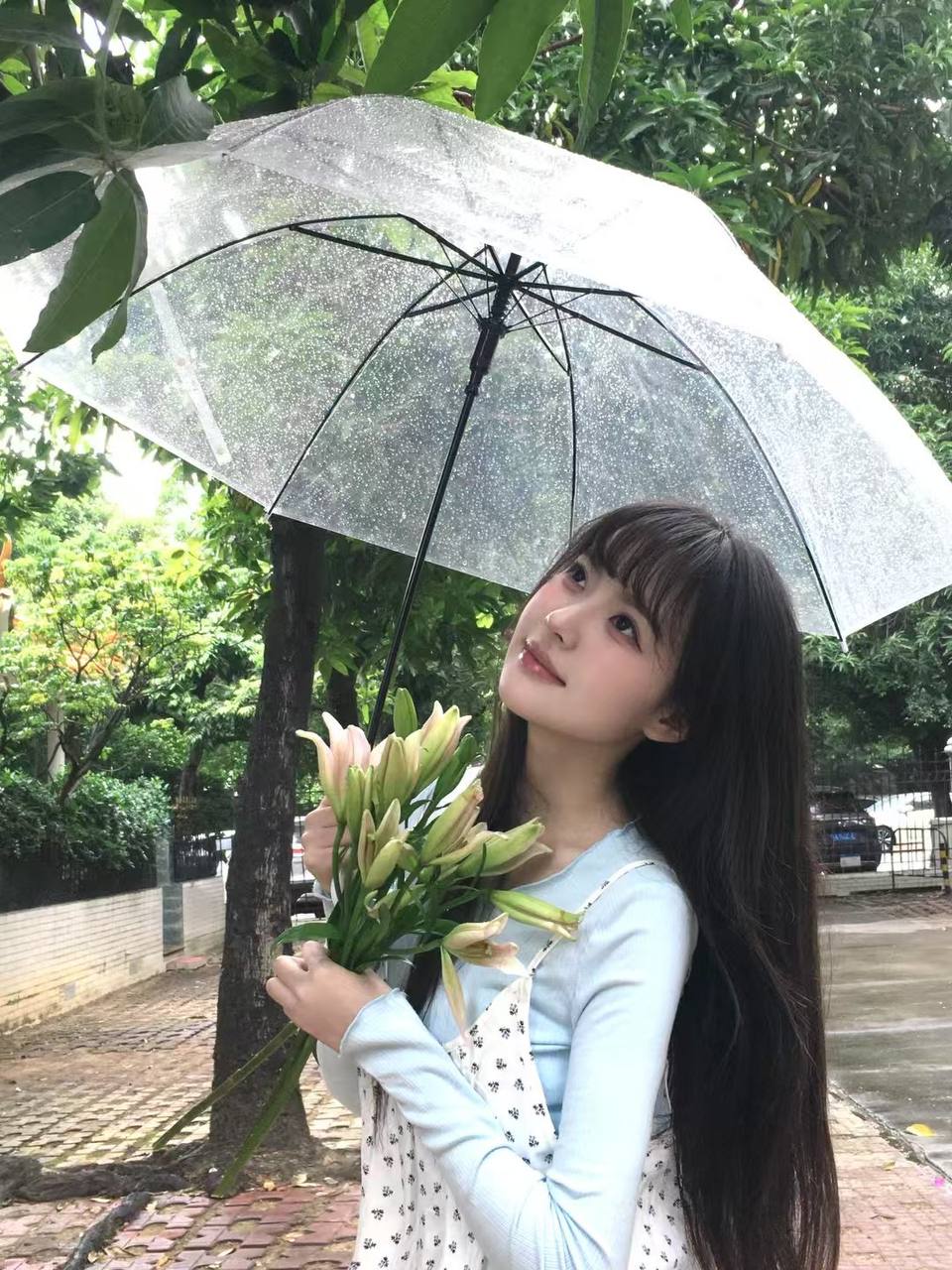 Li