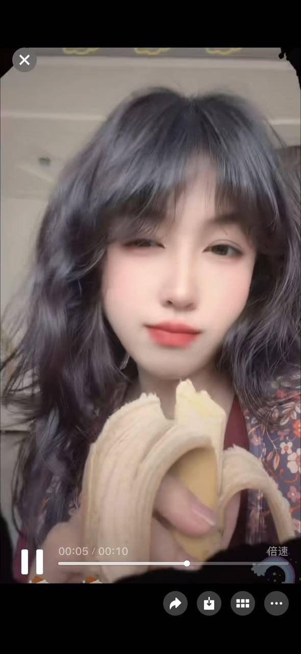 朴朴1237