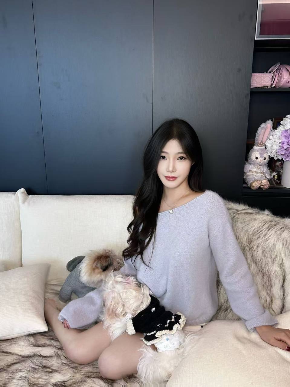 羊羊