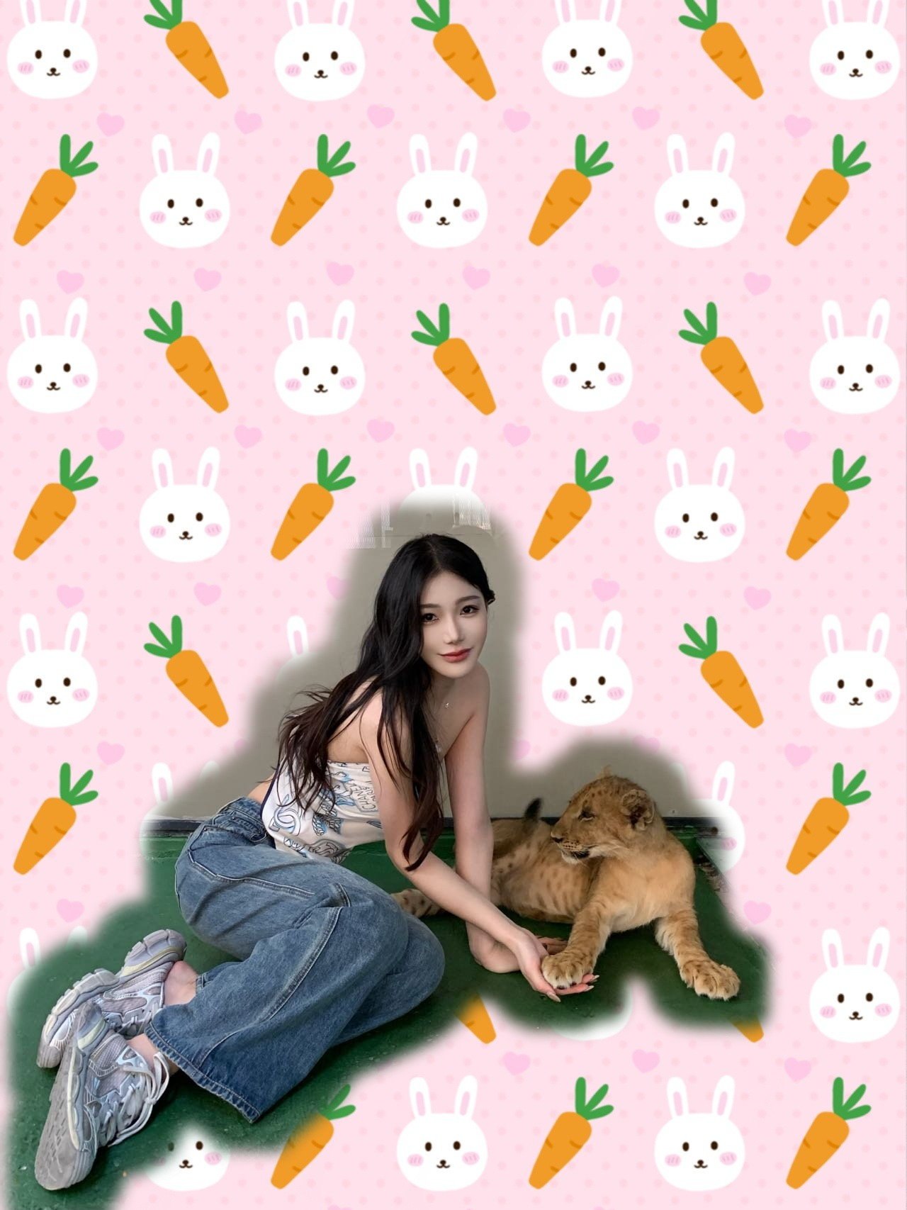 羊羊