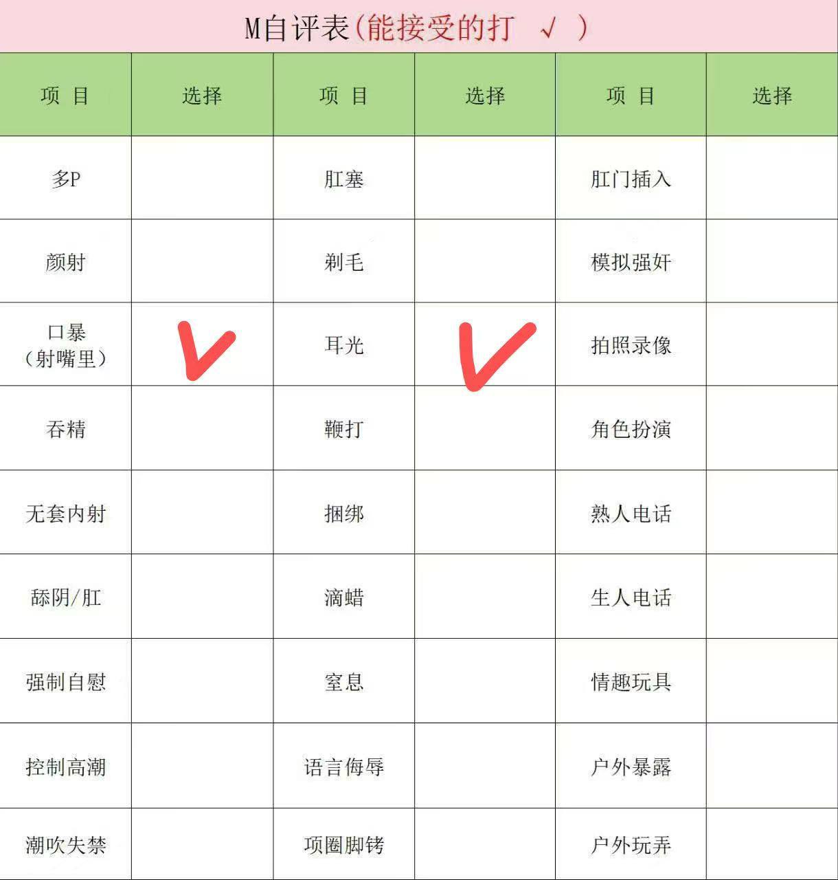 伴友 H39