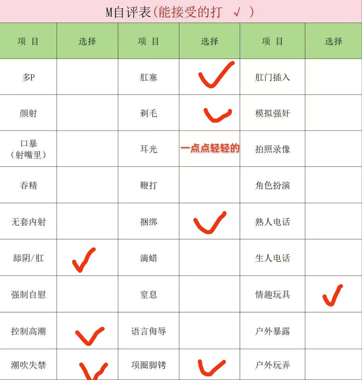 伴友 H40