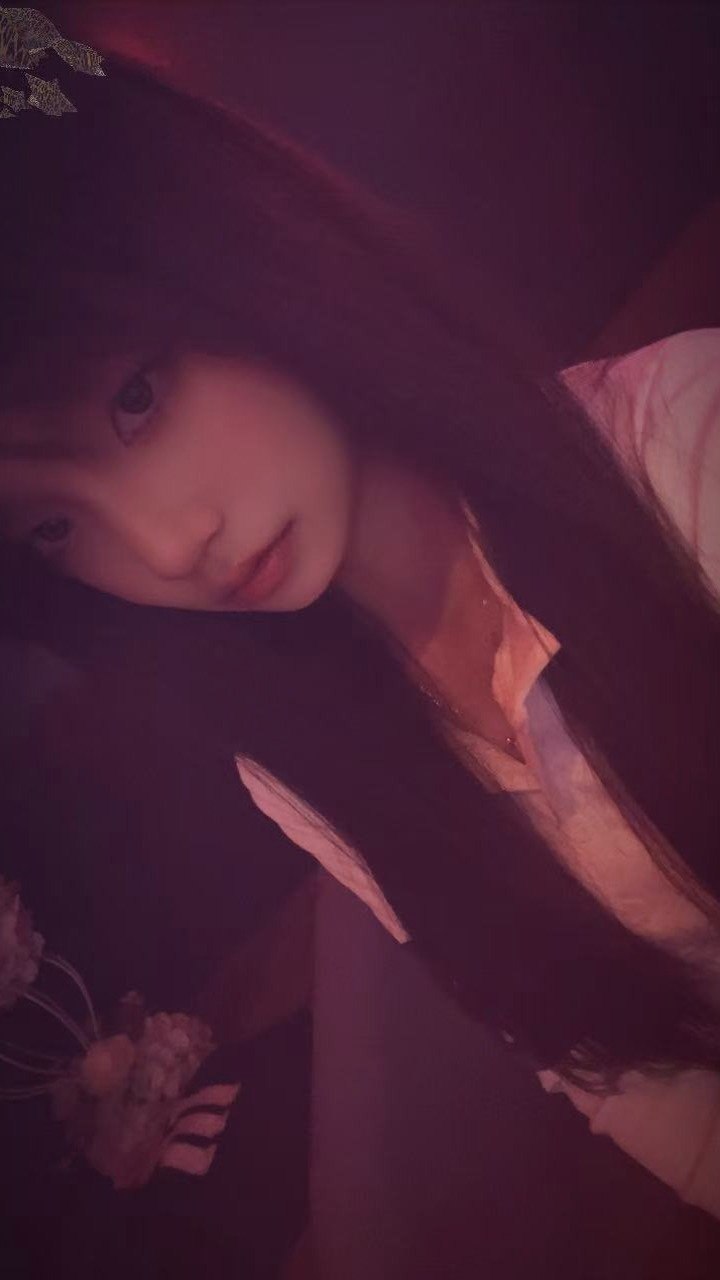 朴朴村长245