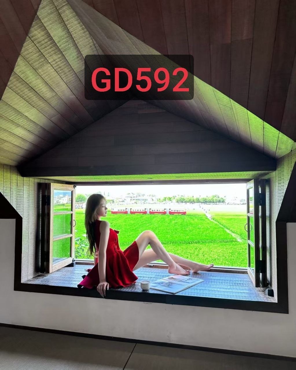 GD592 筷子腿 冷白皮 无套 内色