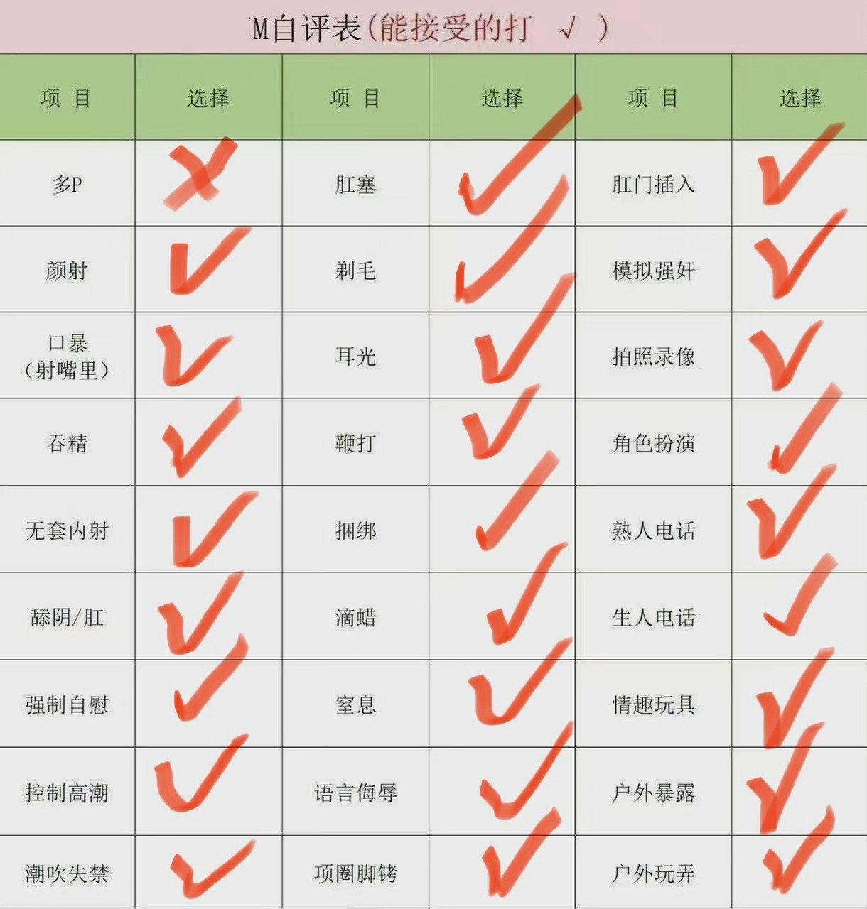 朴朴XM008