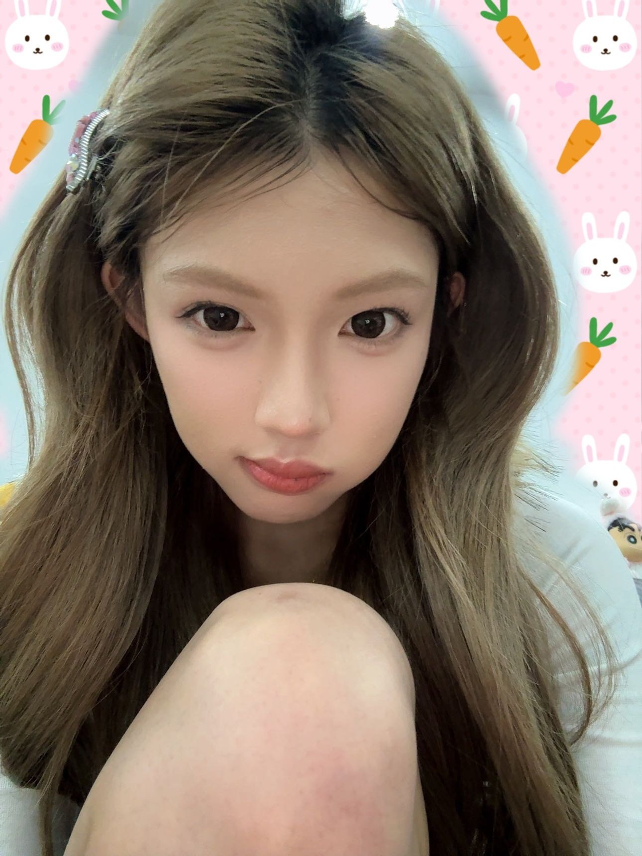 蛋蛋