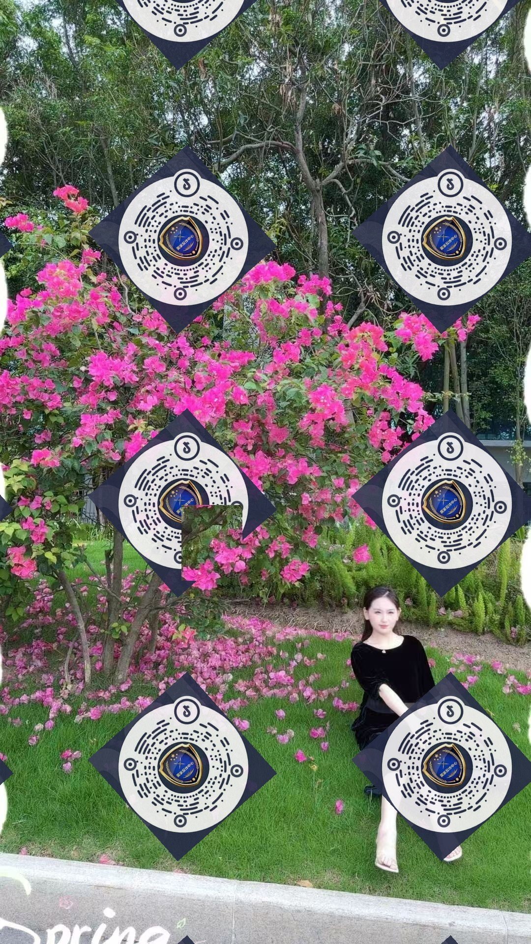 朴朴村长252