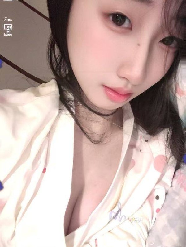 朴朴1464