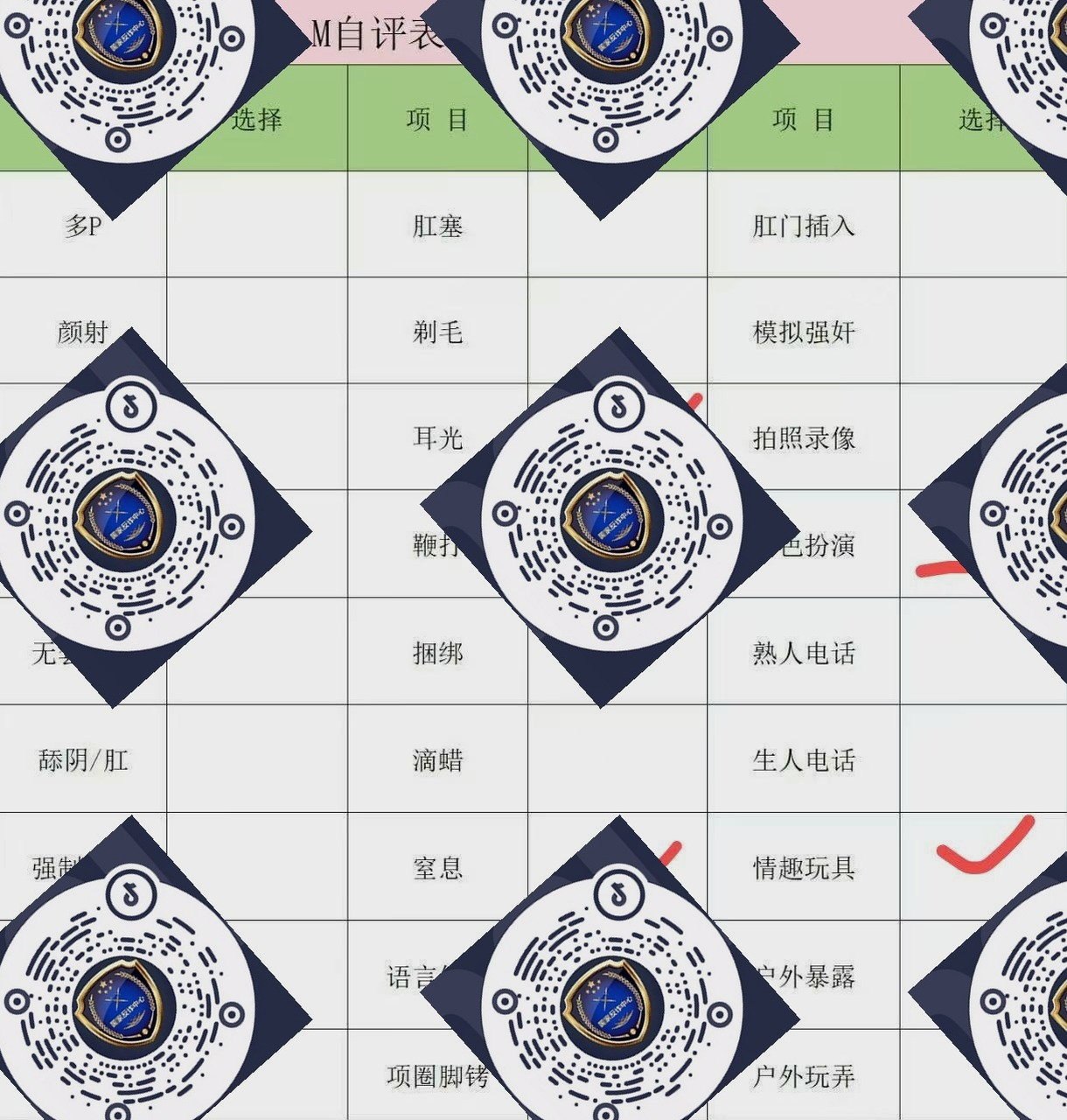 朴朴村长206
