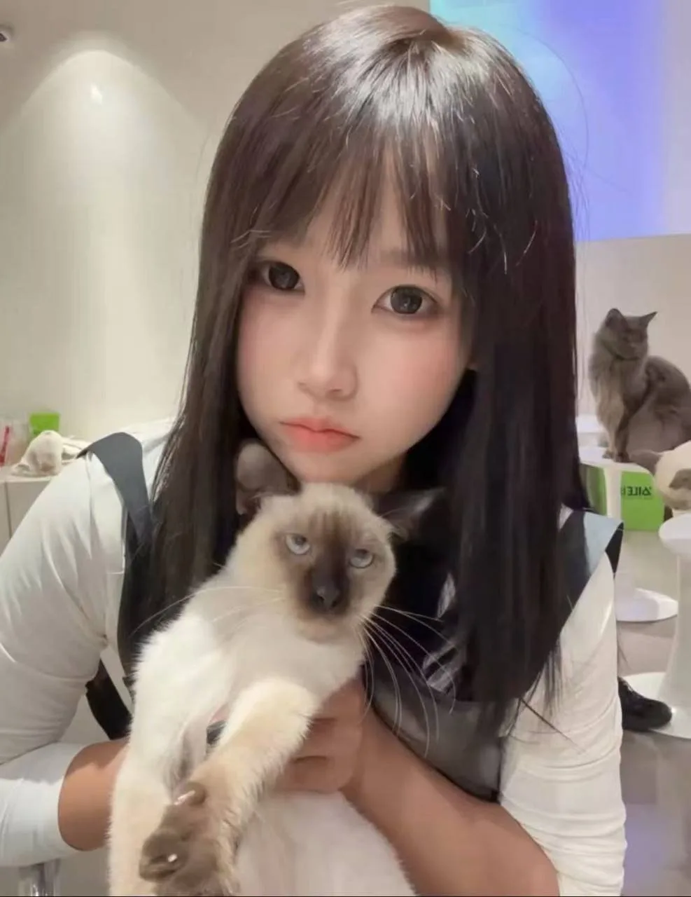 验证视频封面