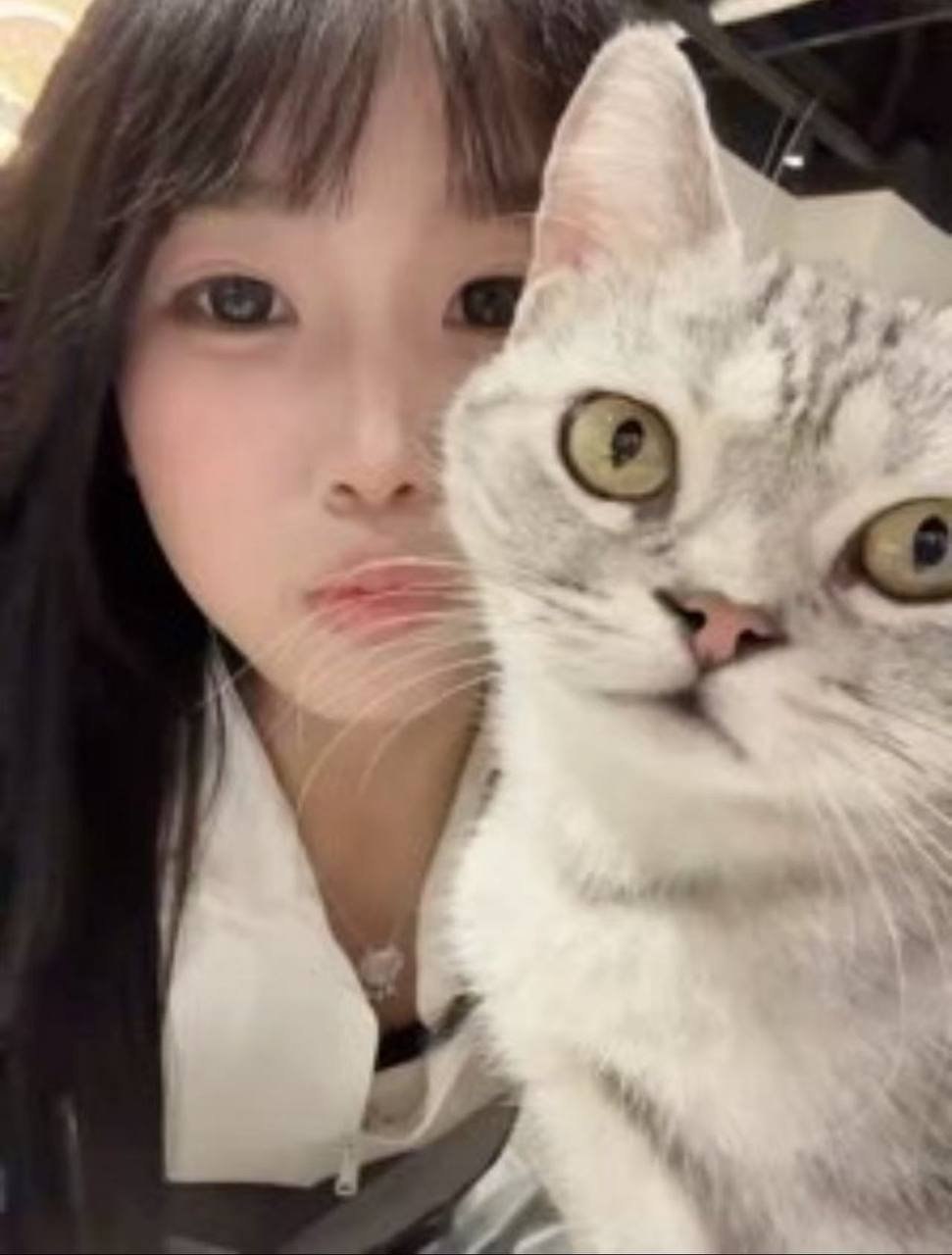 朴朴村长006