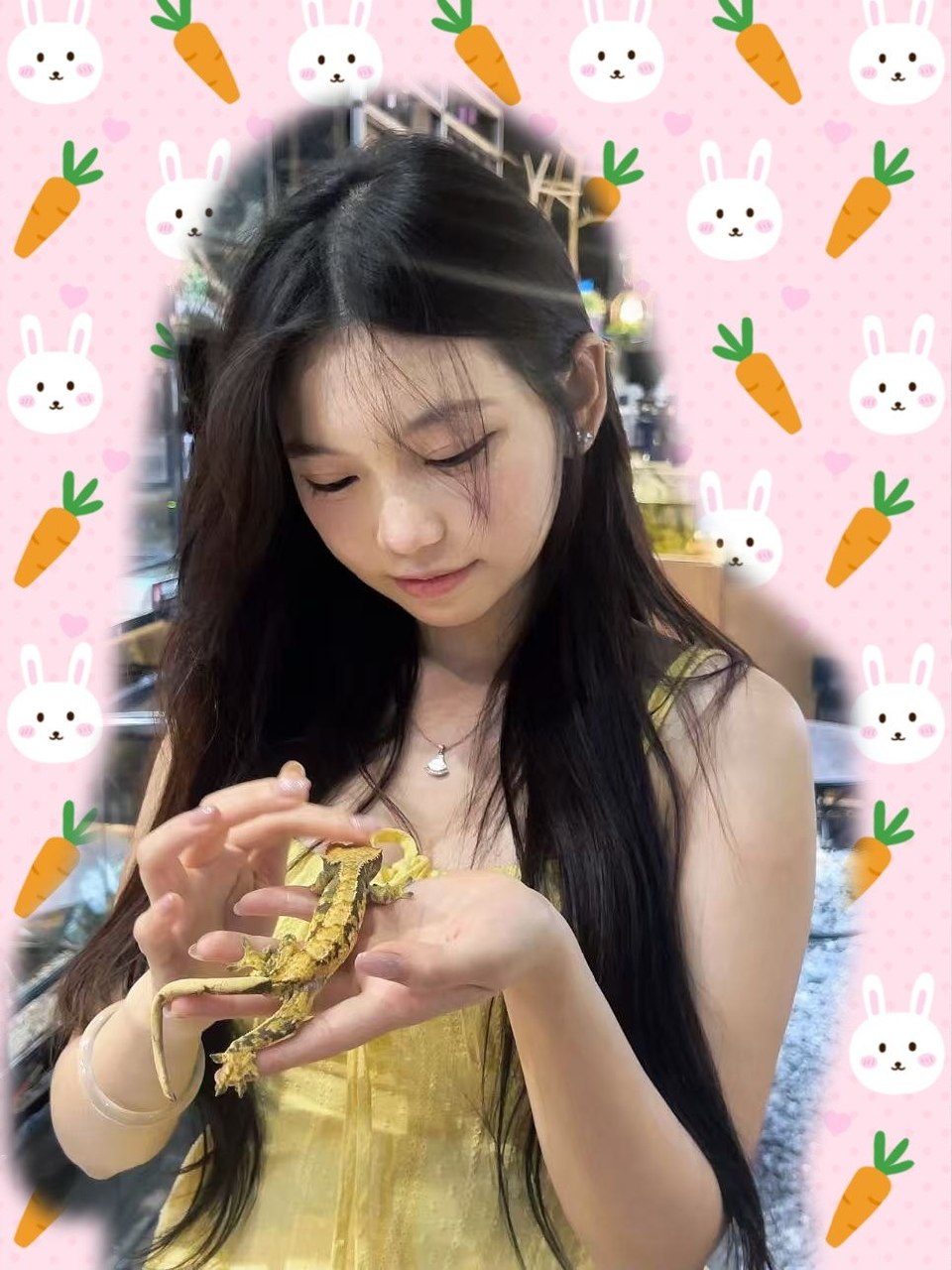 柒柒