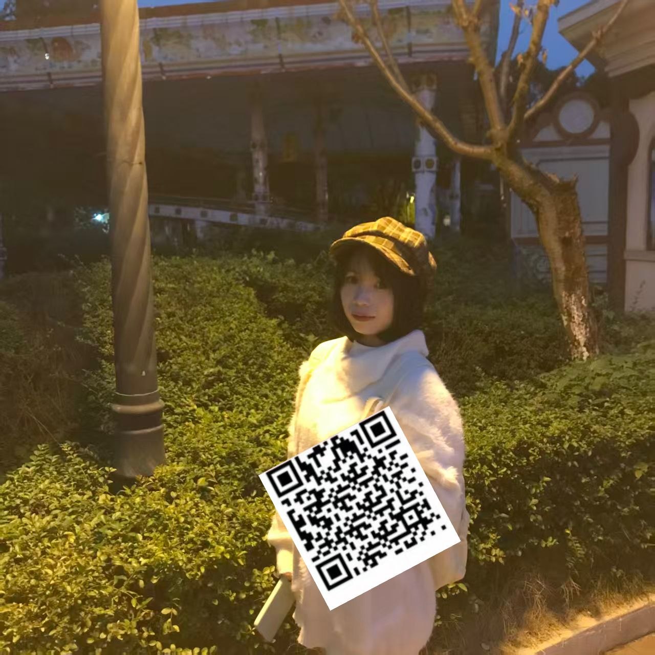 伴友 S71