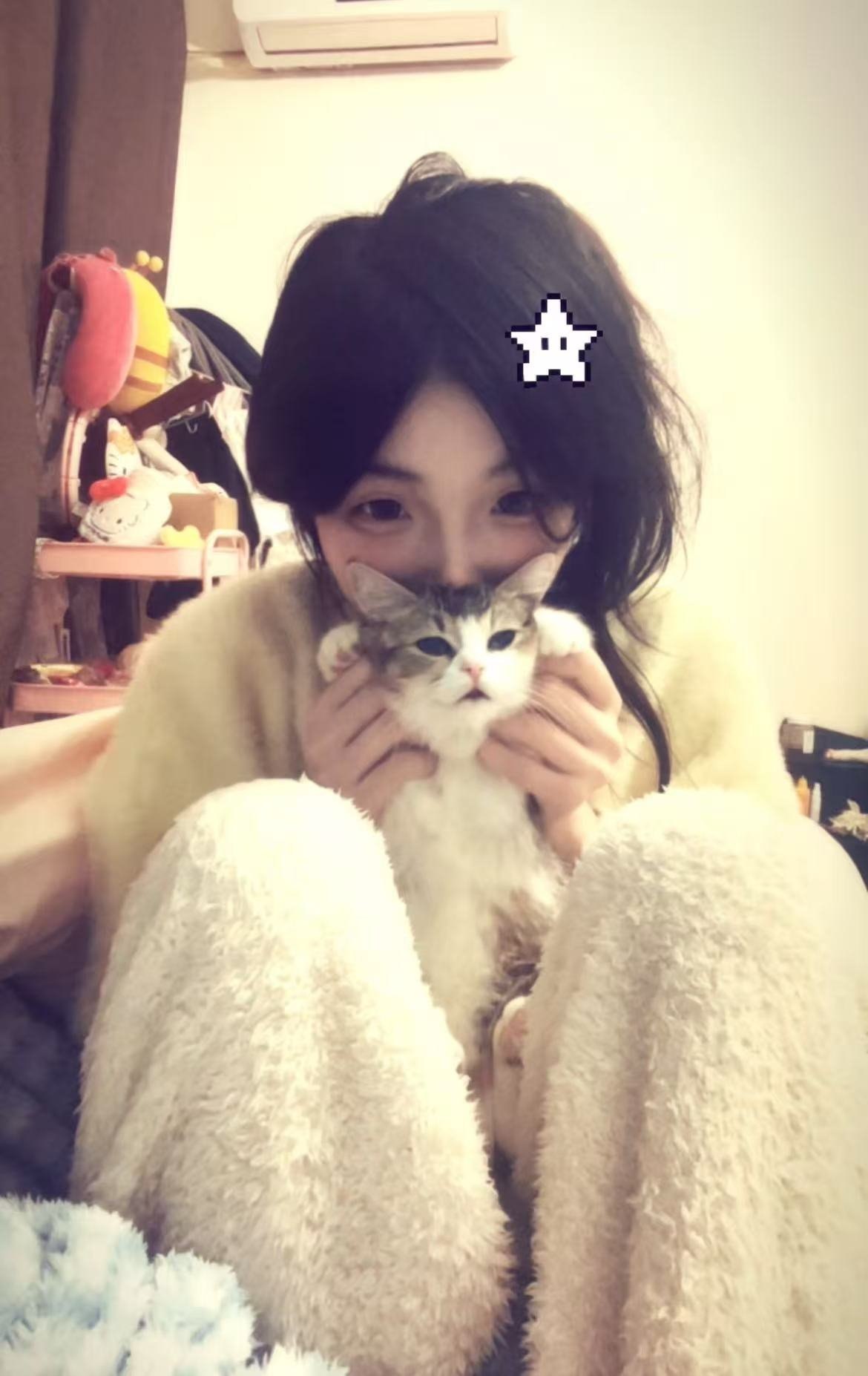 朴朴村长255