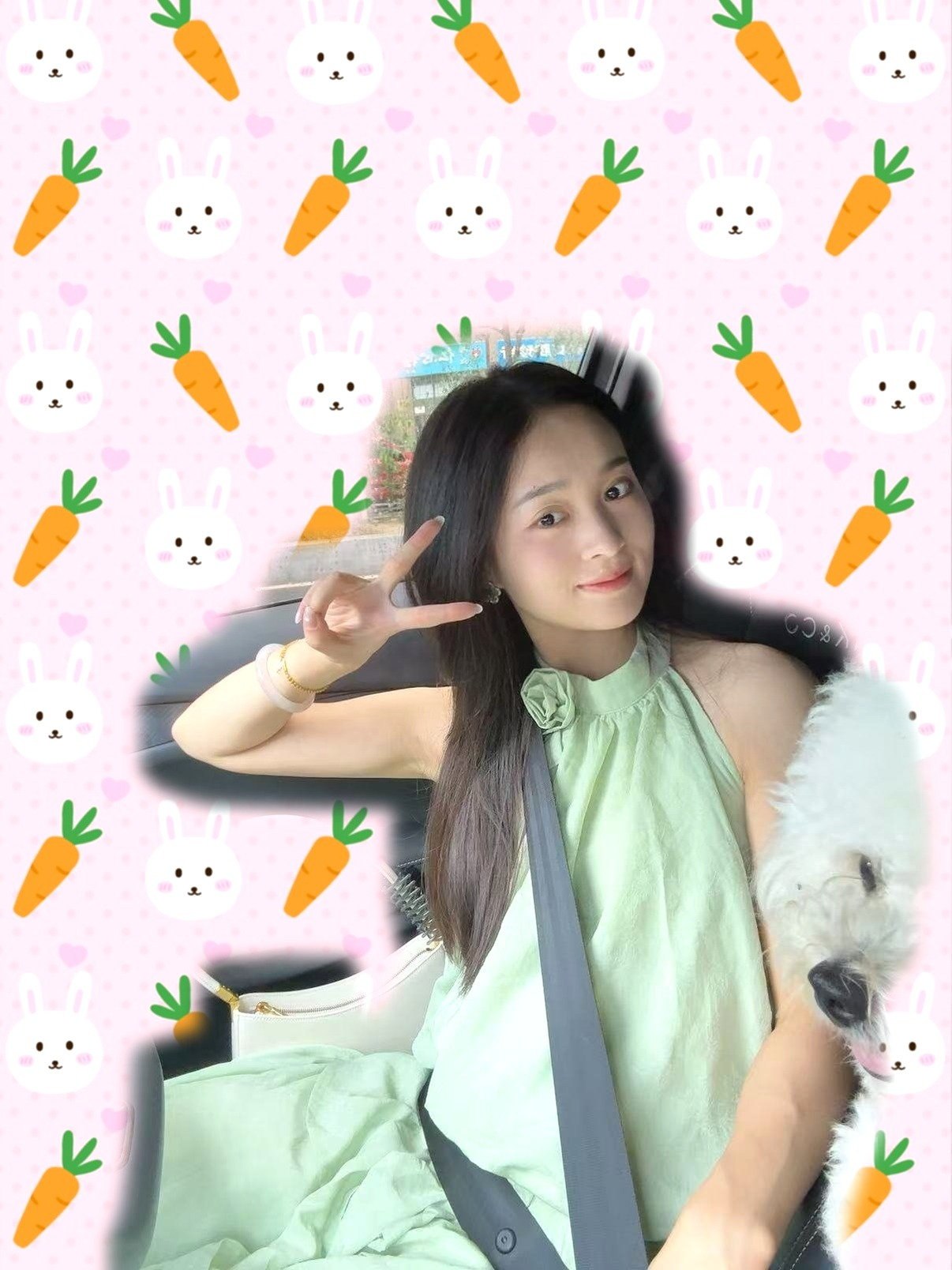 十一