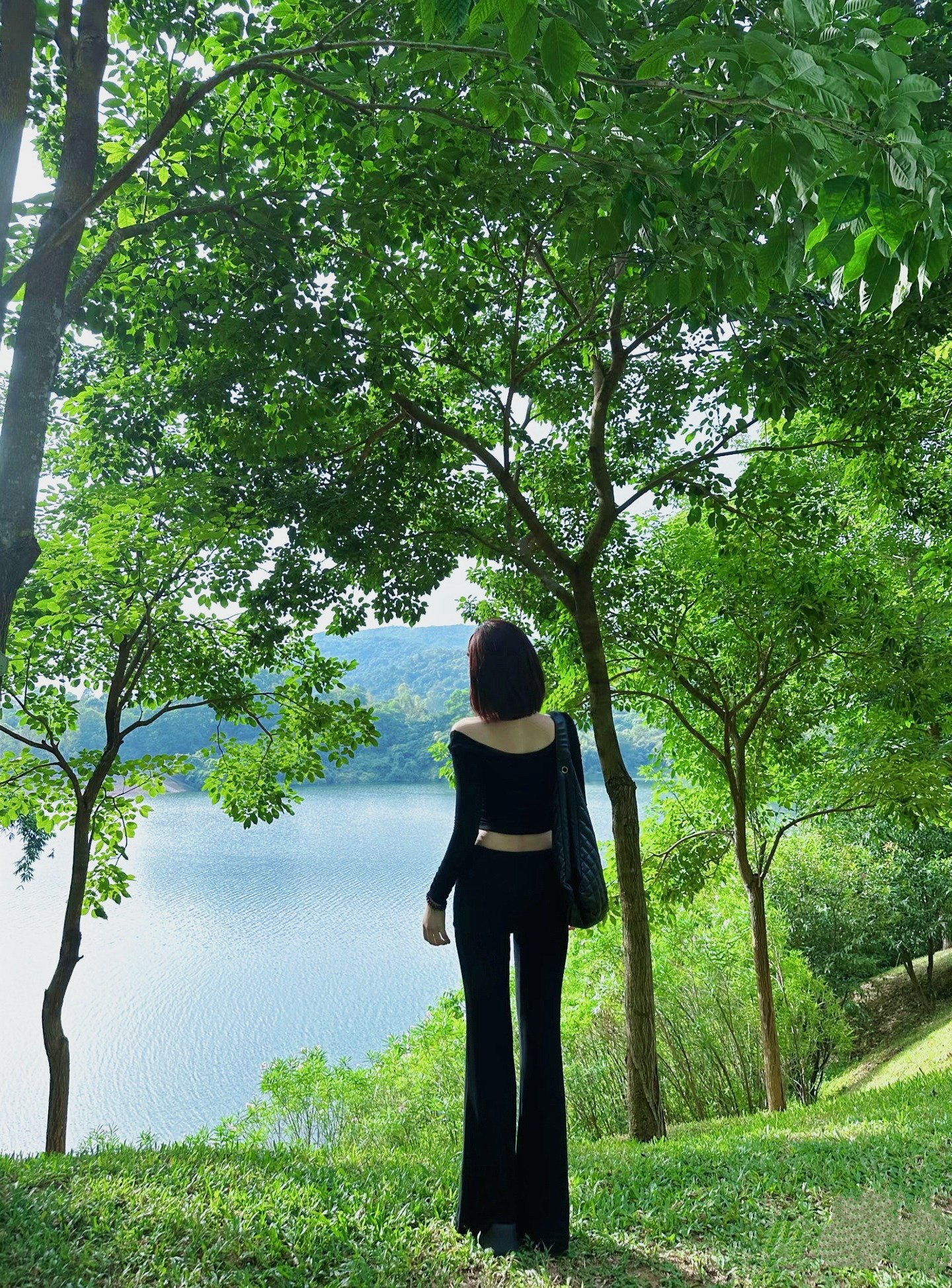 琪琪