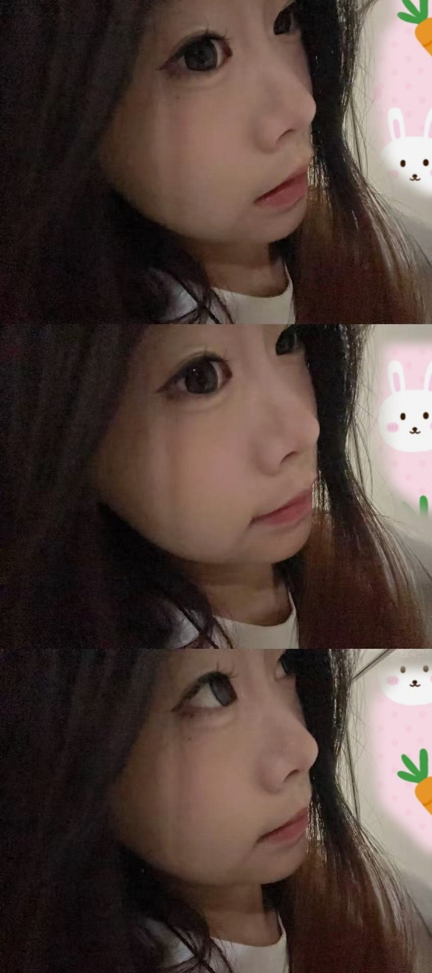 笨蛋小猫