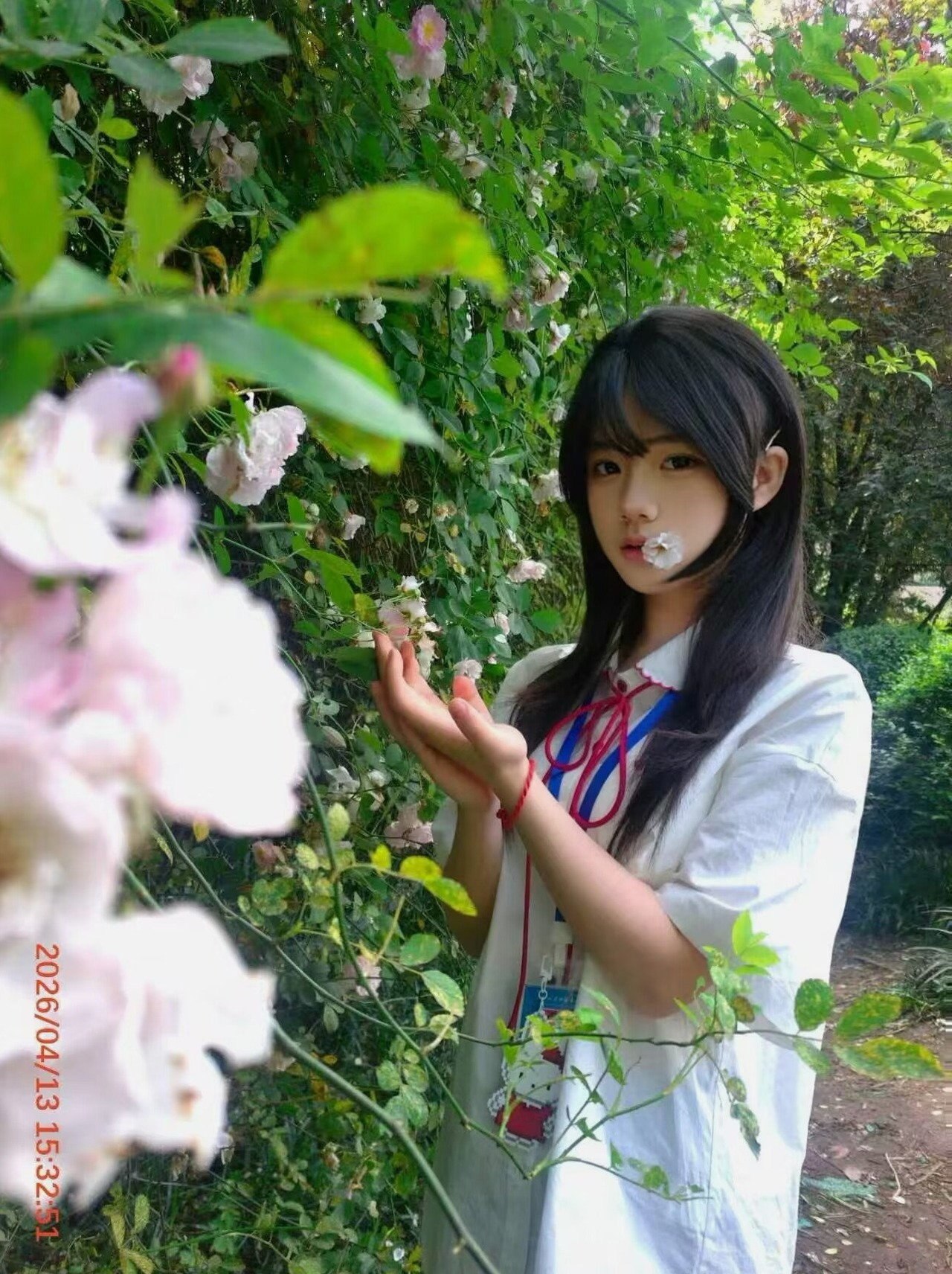 李逍遥九034
