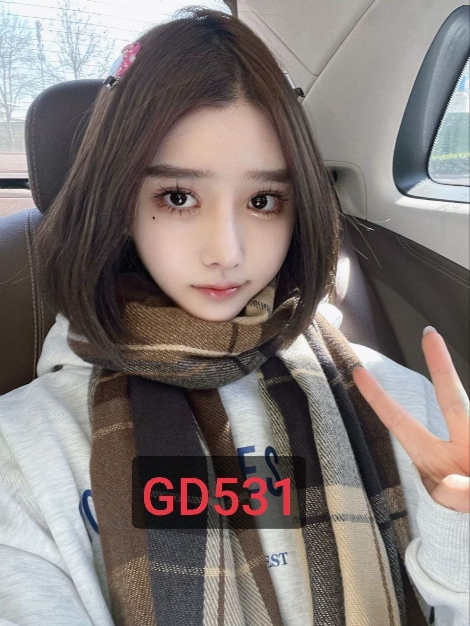 GD 双飞