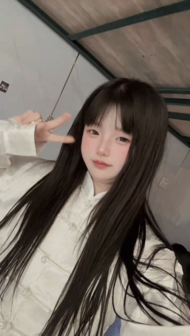 孤岛（龙）003
