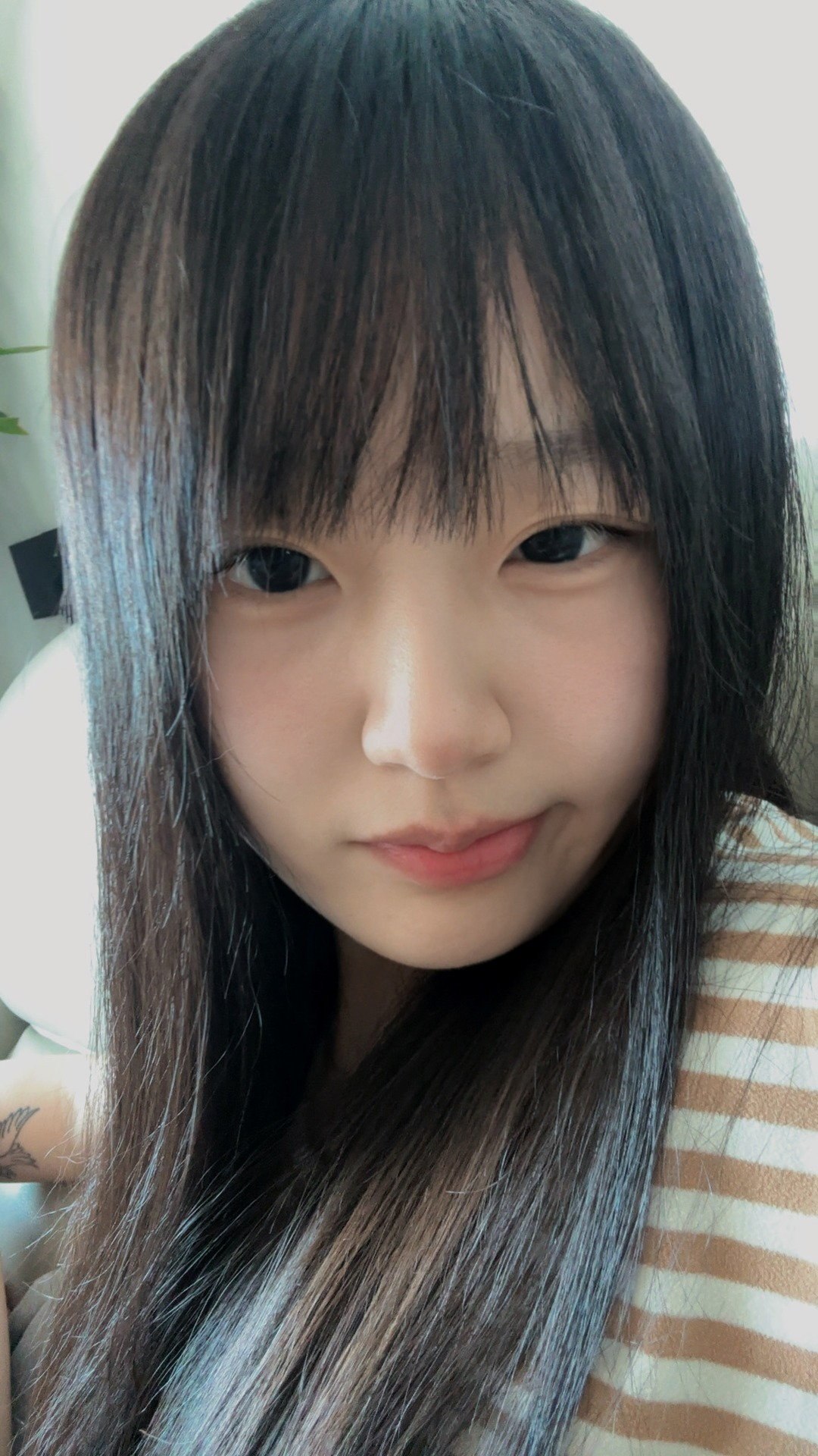 朴朴TC035