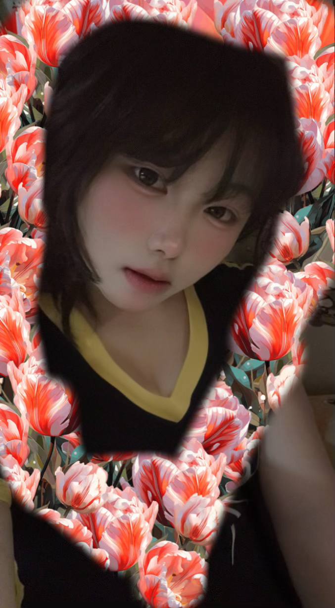 伴友 Z62