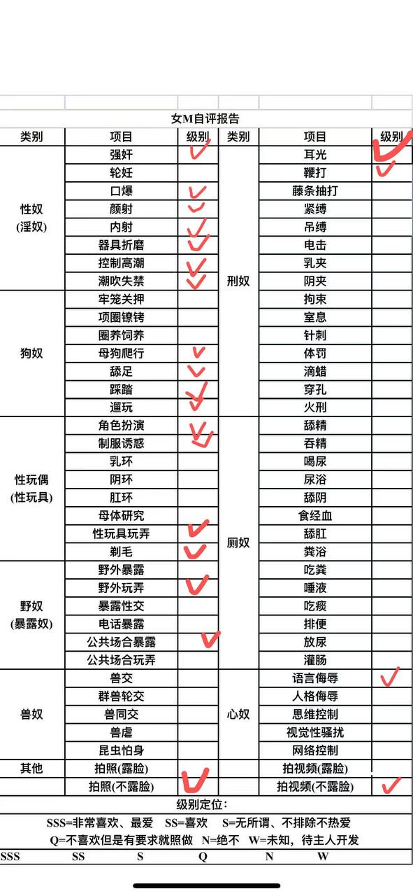 伴友 Z62