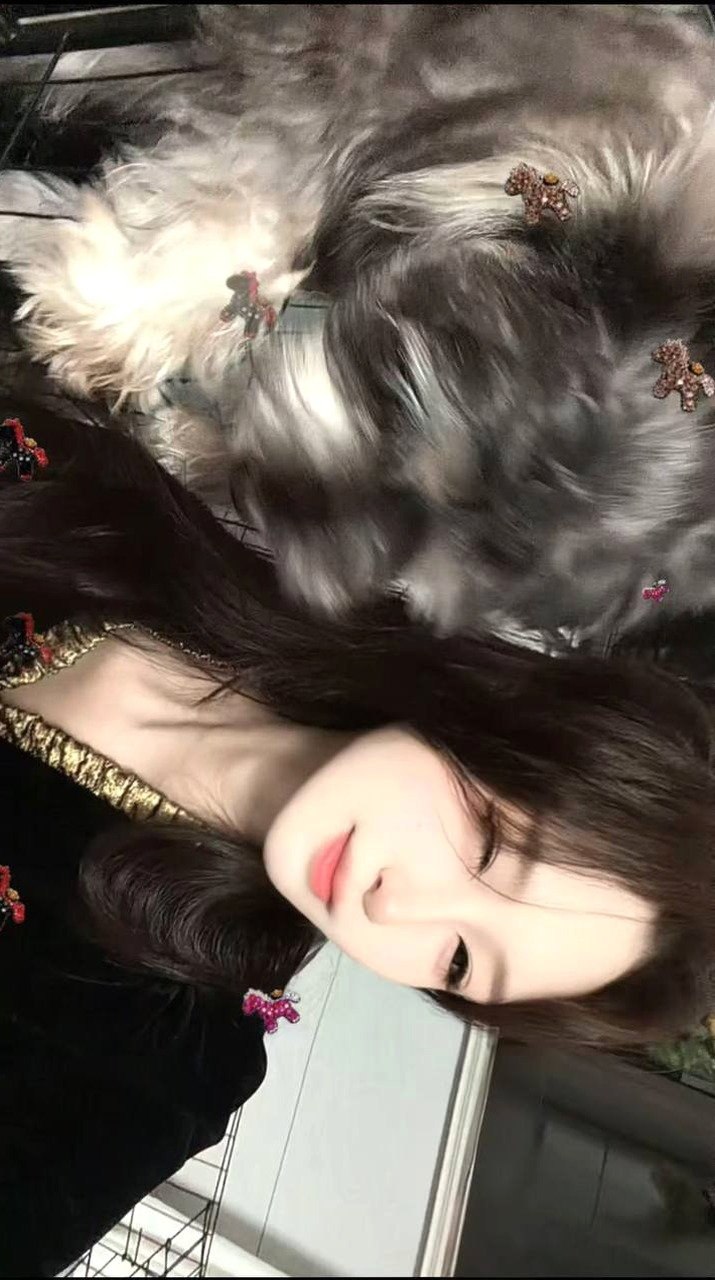 朴朴428