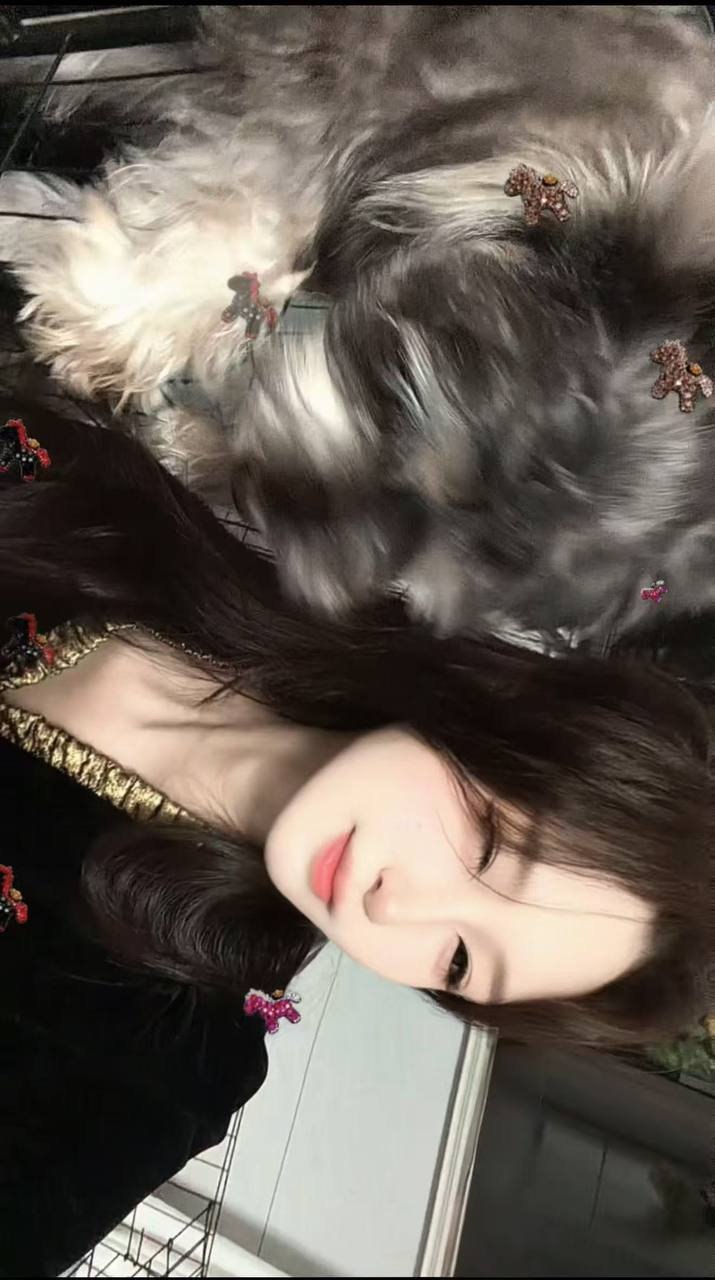 朴朴139