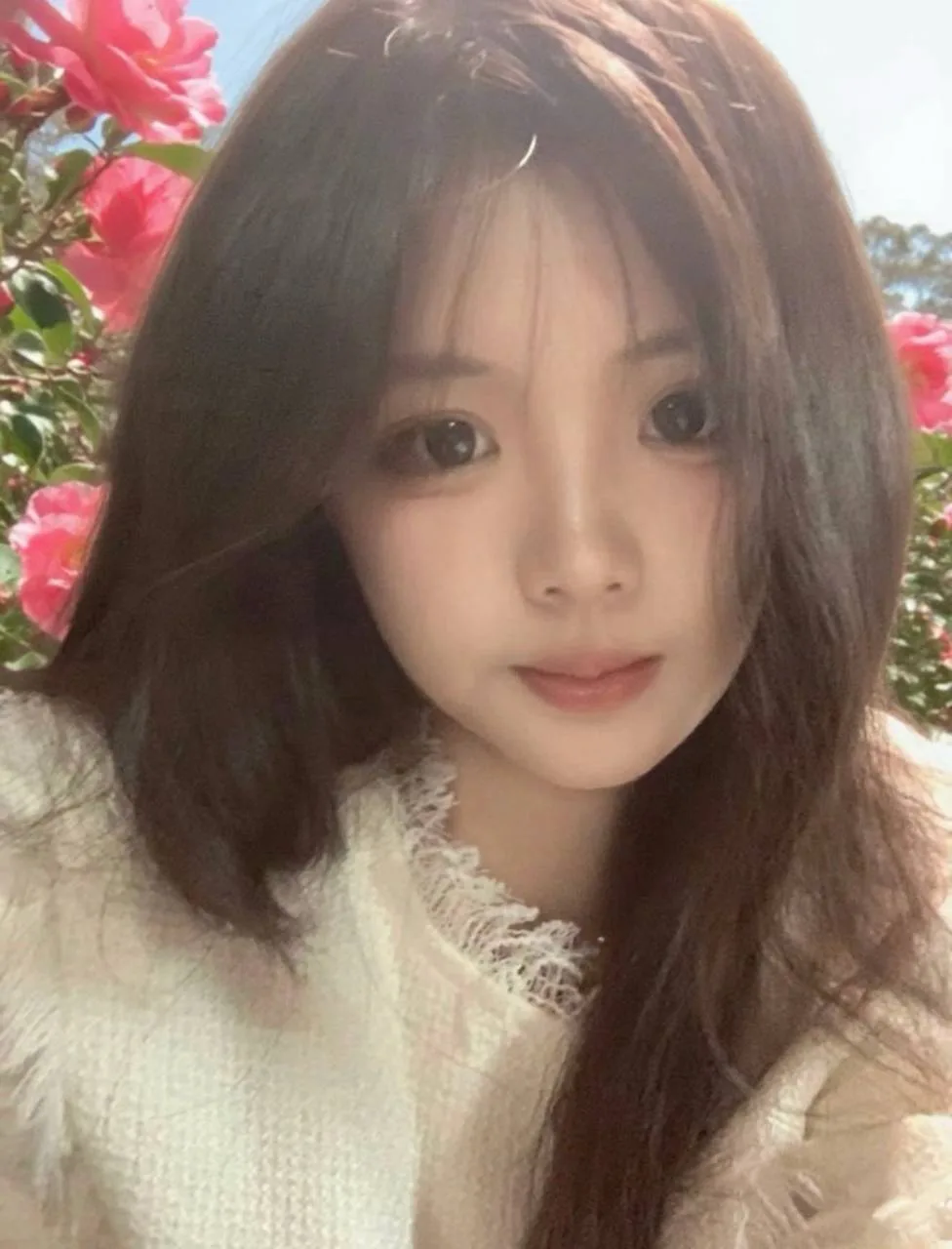 验证视频封面